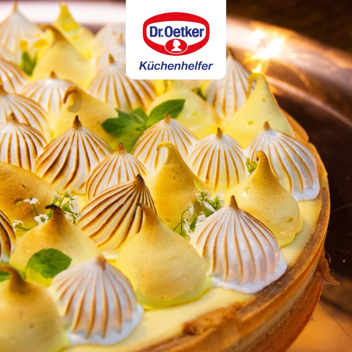 Plat à four pour tartes et pizzas noir, DR OETKER