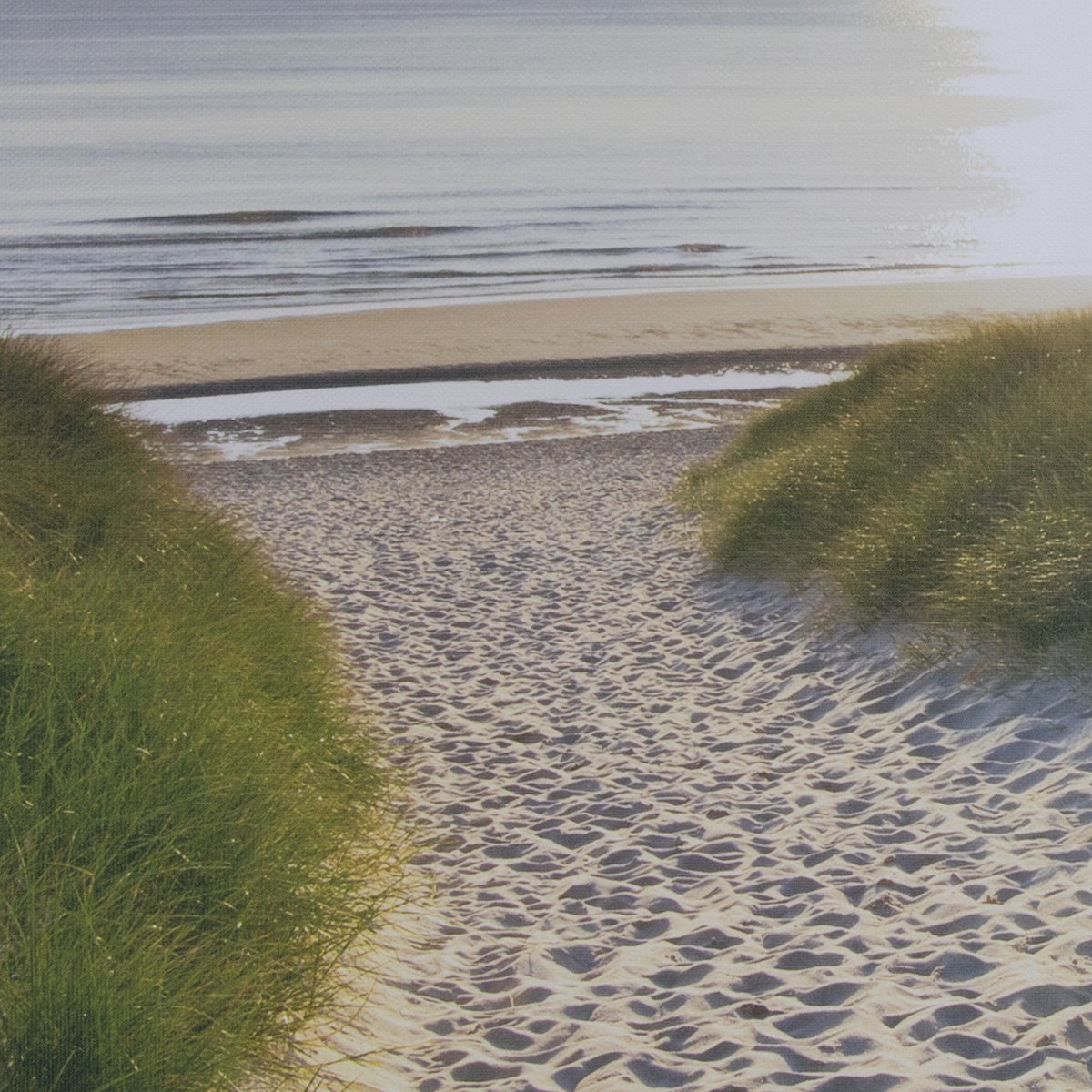 Tableau de jardin Dans les dunes beige, bleu, ART FOR THE HOME