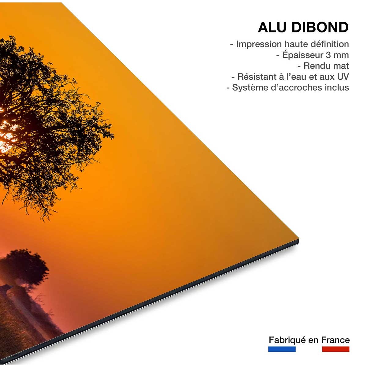 Tableau la savane tableau alu dibond, HEXOA
