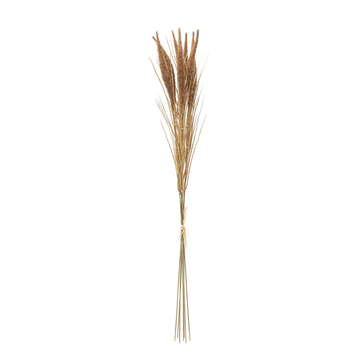 Bouquet de pampa 7 tiges artificielle H80 marron, SIA DECO