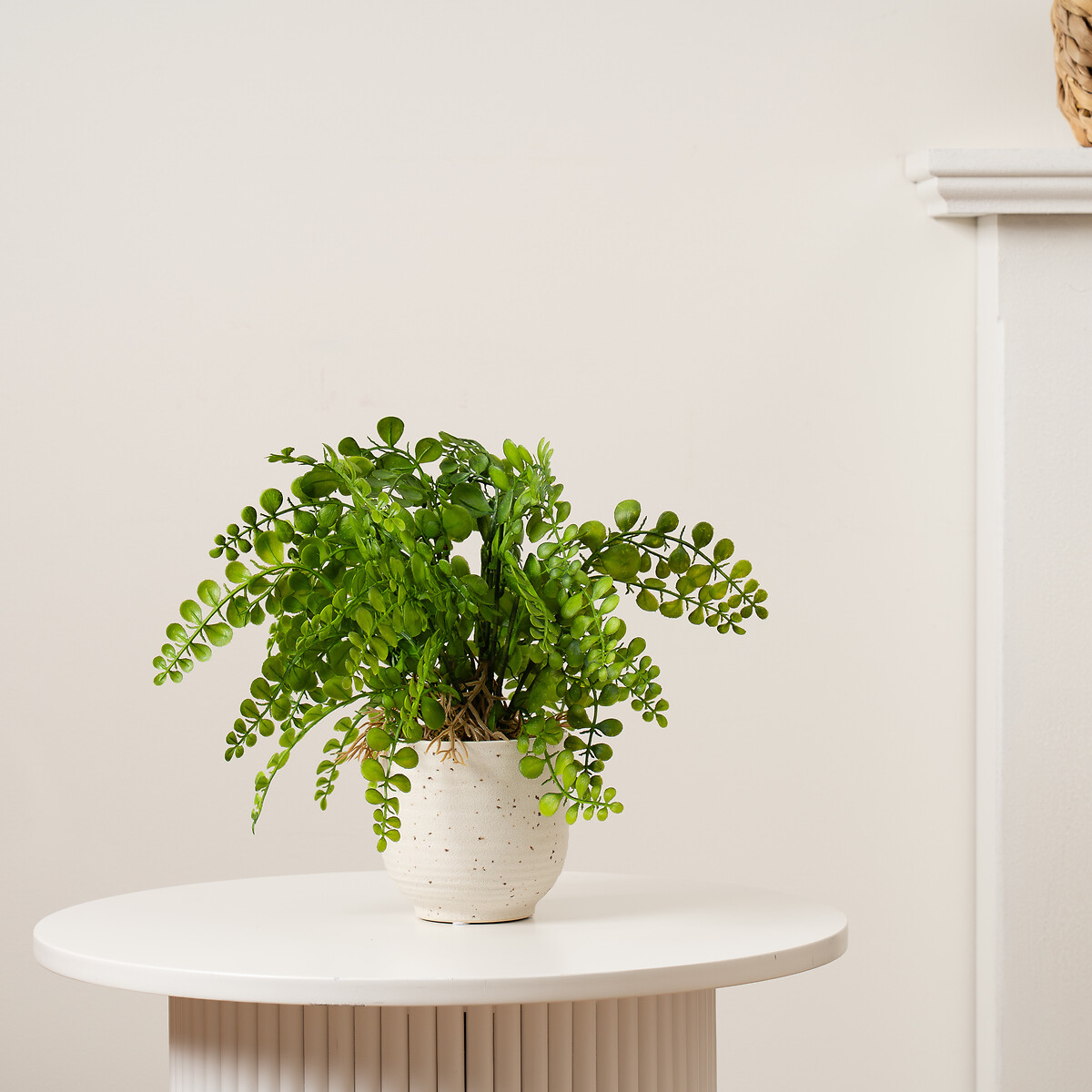 28cm Artificial Fern in Speckled Ceramic Pot green, SO'HOME