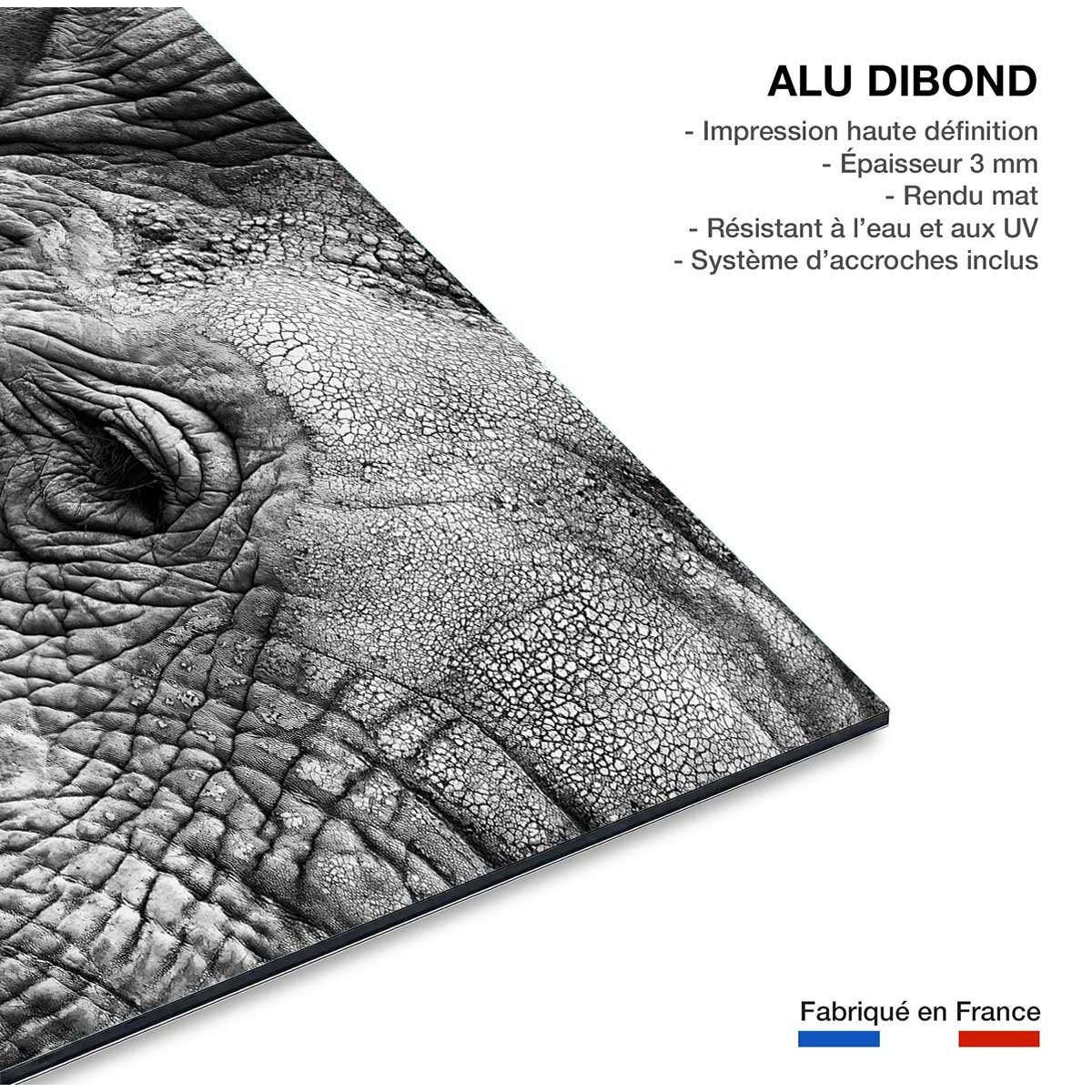 Tableau animaux Peau d'éléphant tableau alu dibond, HEXOA