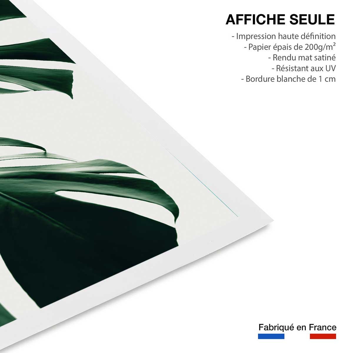 Affiche monstera due affiche seule, HEXOA