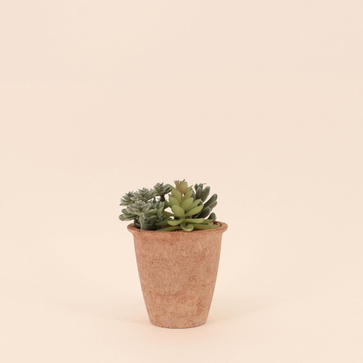 Plantes grasses artificielles 18cm vert, ORNAMI