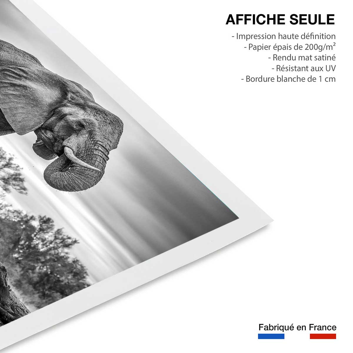 Affiche animaux standing proud affiche seule, HEXOA