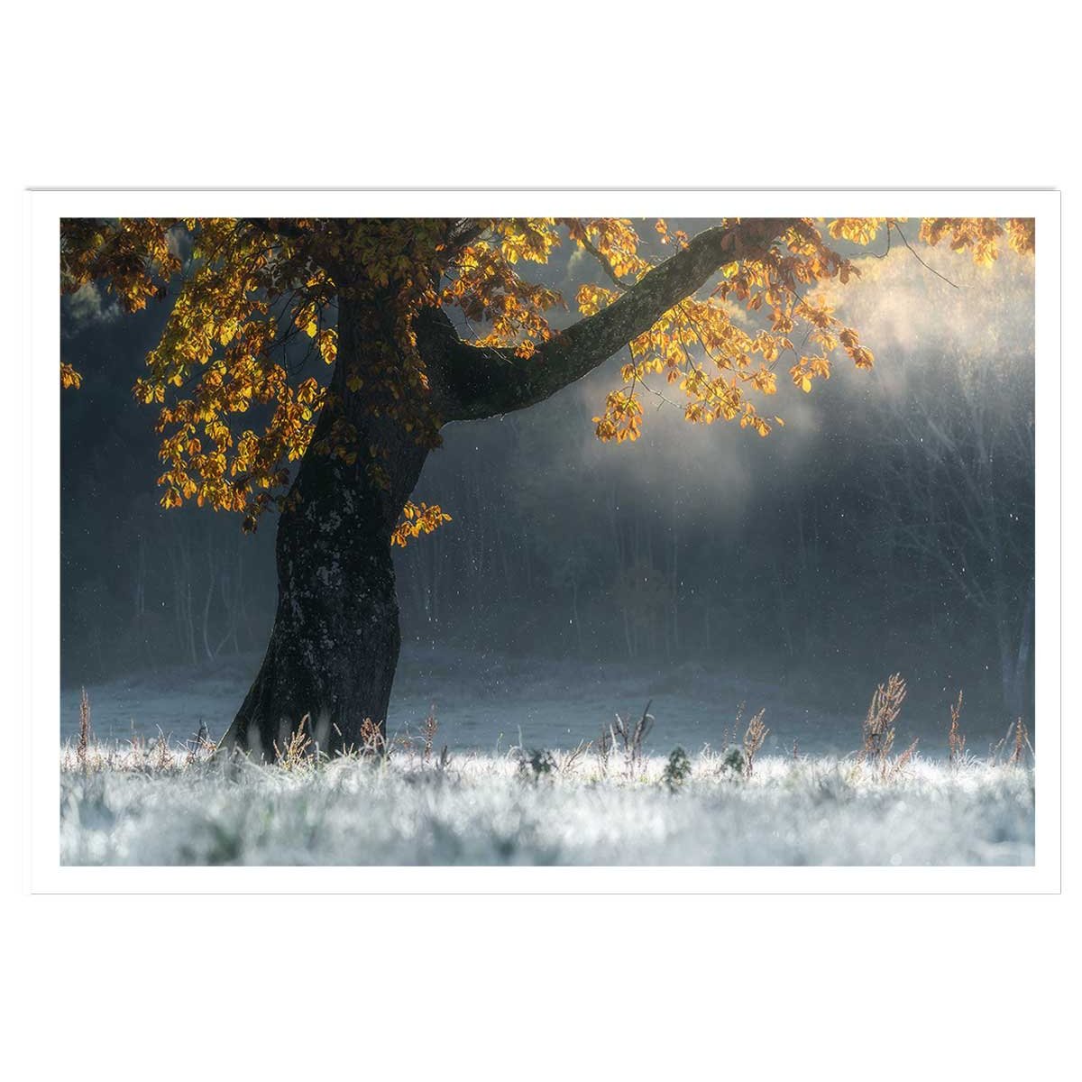 Affiche paysage Souffle d'hiver affiche seule, HEXOA