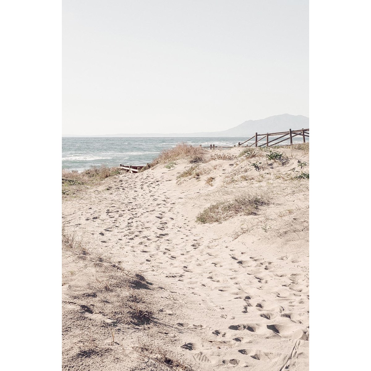 Tableau mer chemin de sable tableau alu dibond, HEXOA