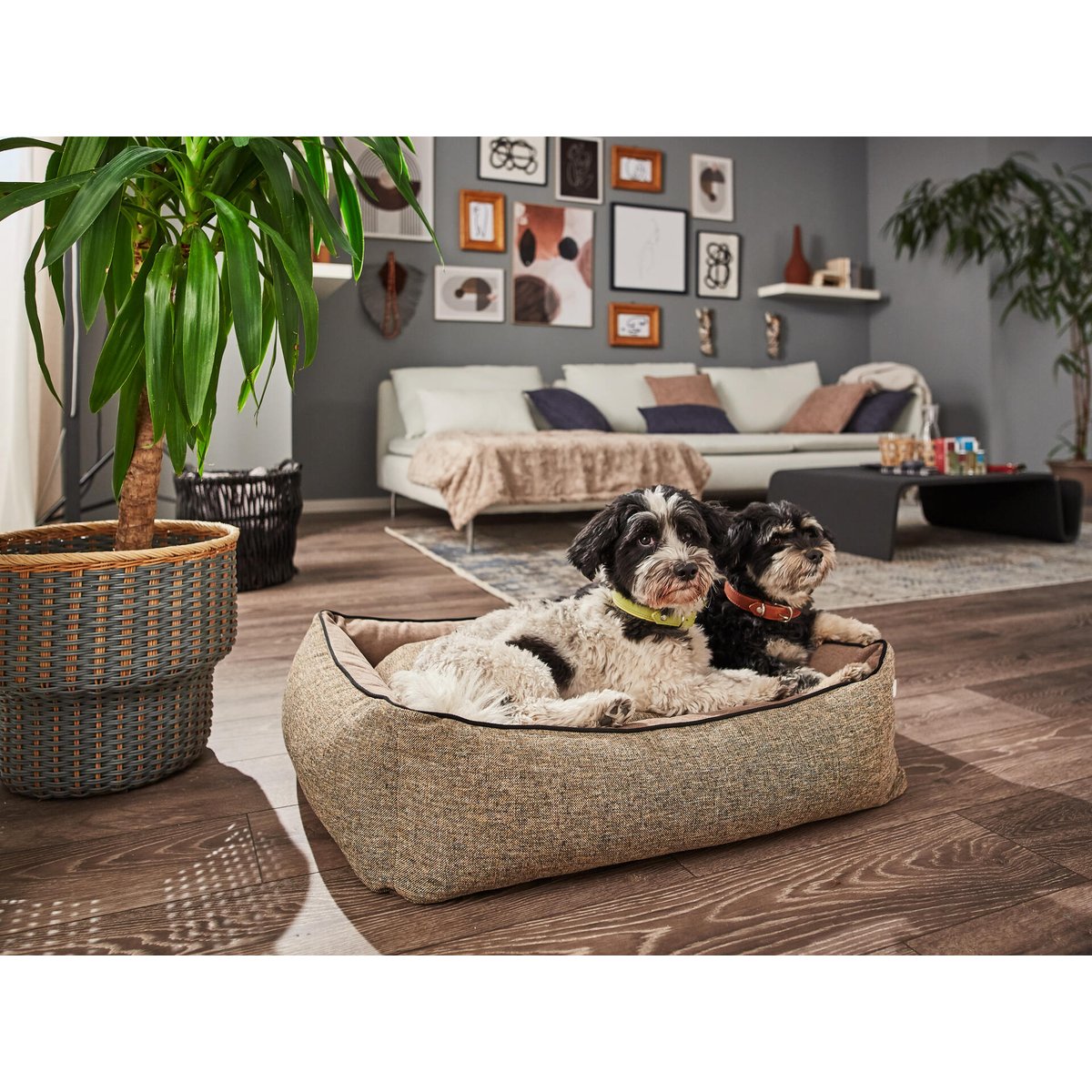 Panier design pour chiens SCALA marron, LABONI
