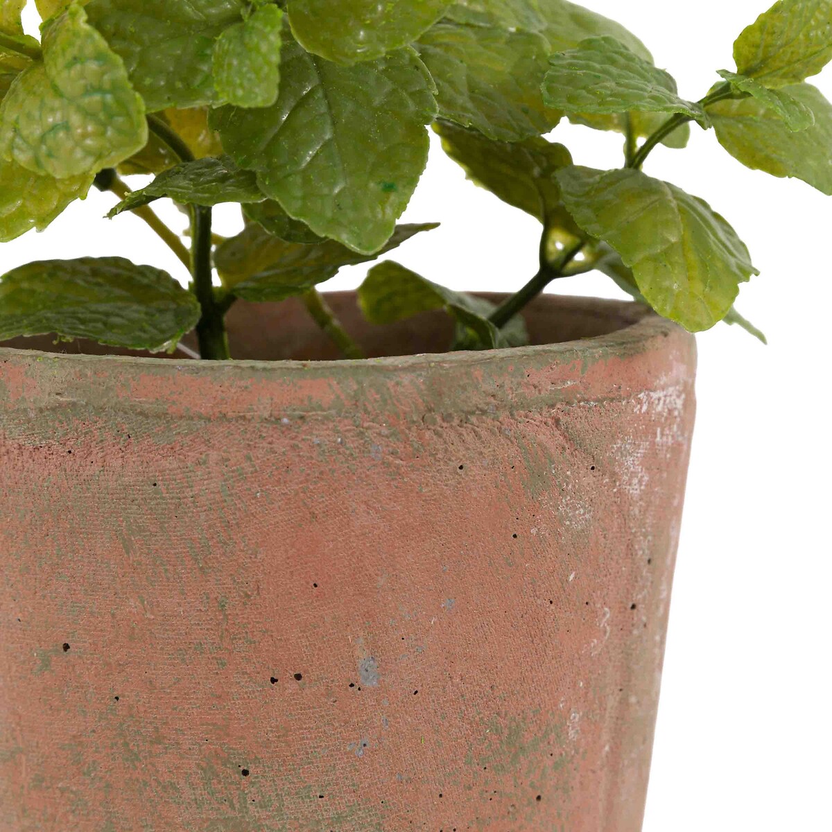 23cm Potted Mint in Terracotta Pot red, ÉDITÉ