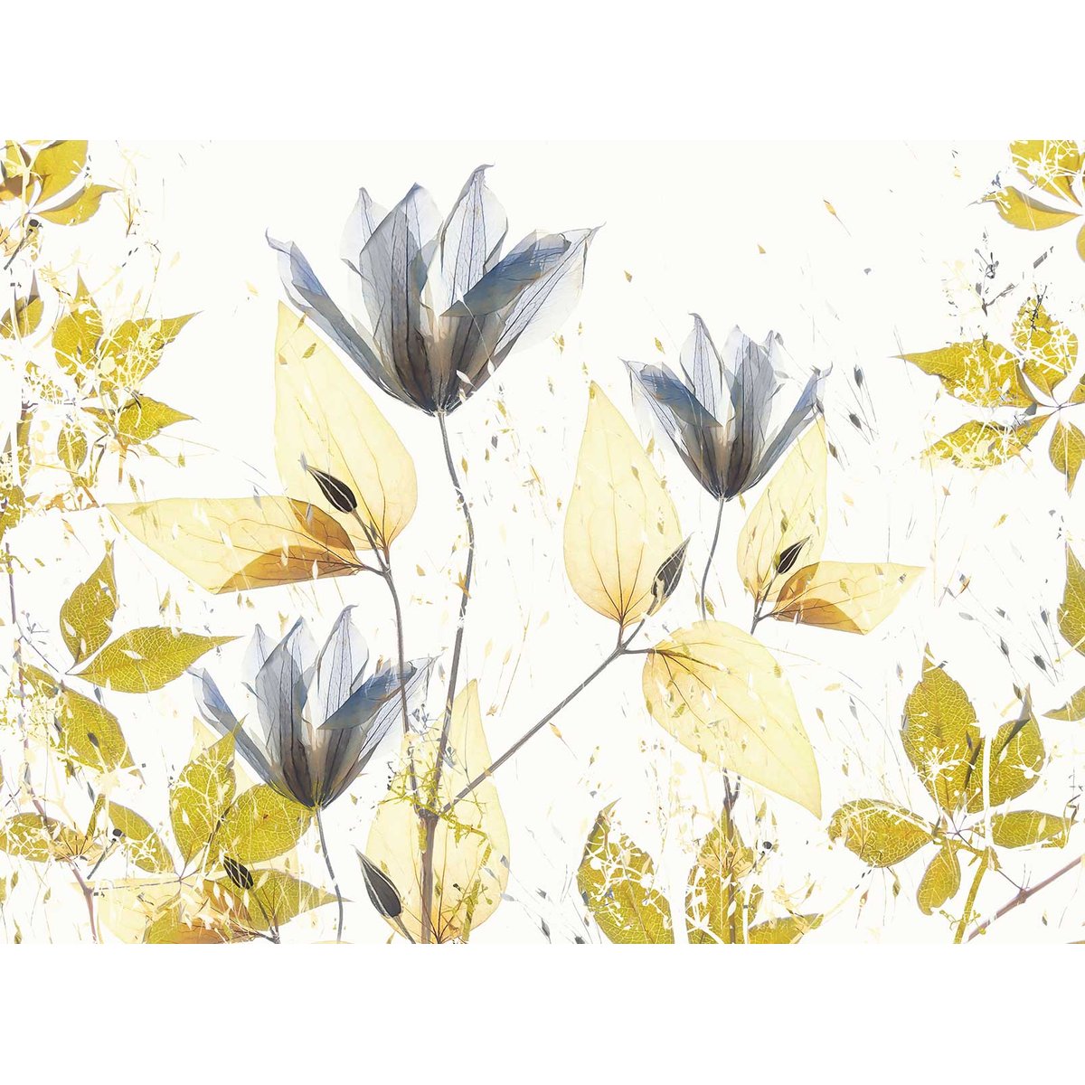 Papier peint ambiance printanière intissé, HEXOA
