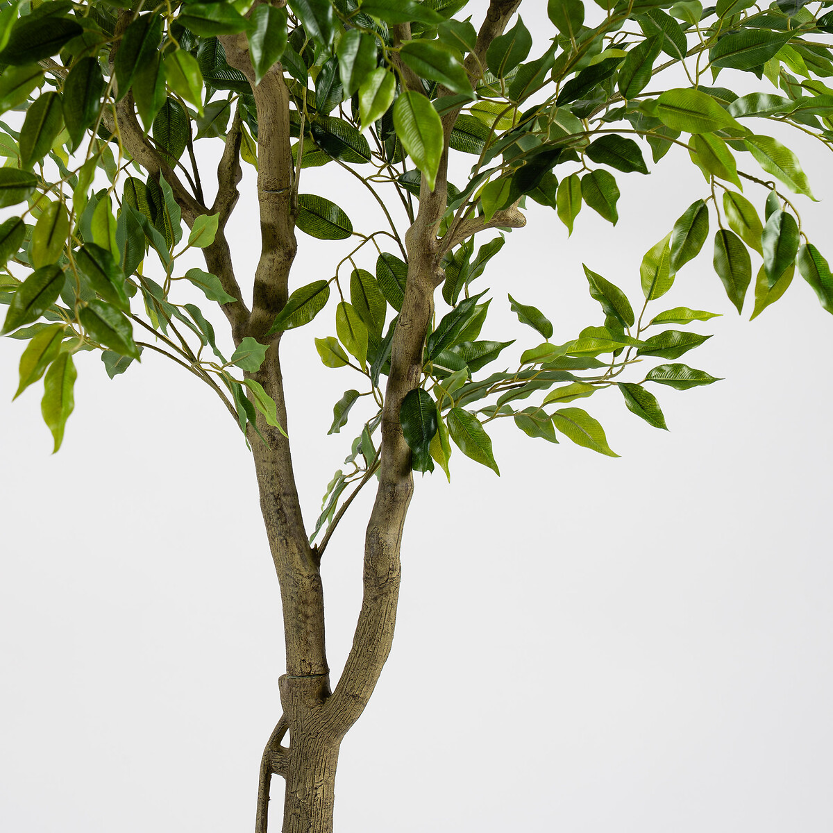 170cm Real Touch KD Ficus in Plastic Pot green, SO'HOME
