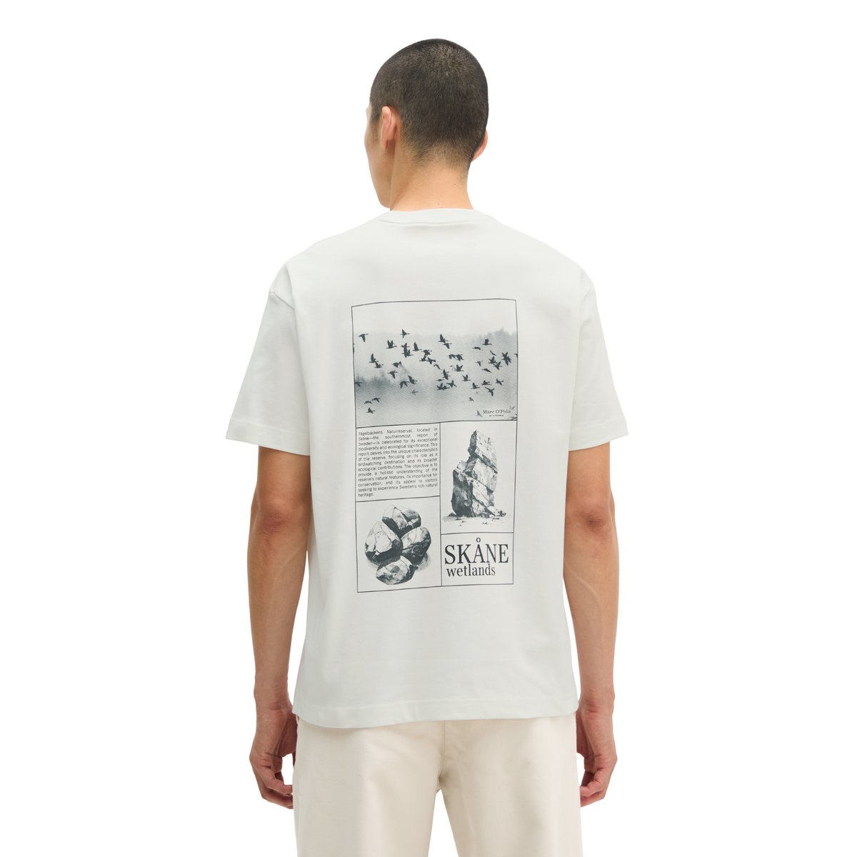 T-shirt regular avec un grand imprimé au dos blanc, MARC O'POLO