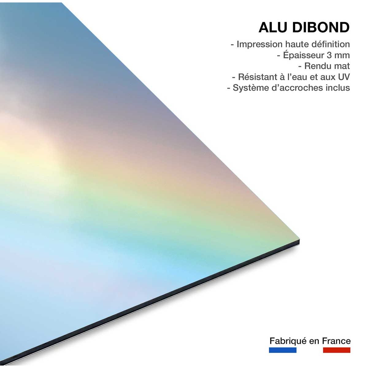 Tableau arc en ciel pastel tableau alu dibond, HEXOA
