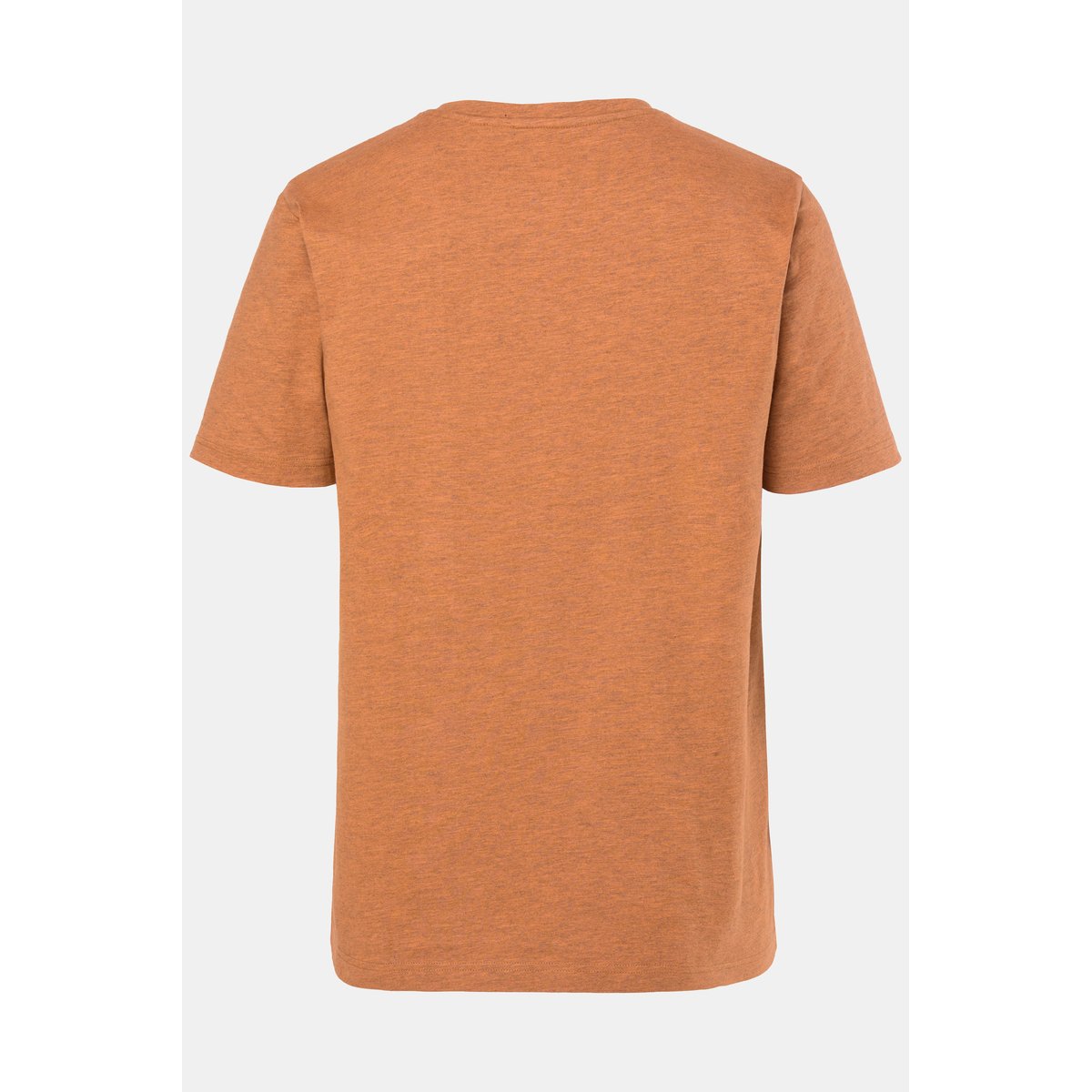 T-shirt en jersey chiné, manches courtes argousier, JP1880