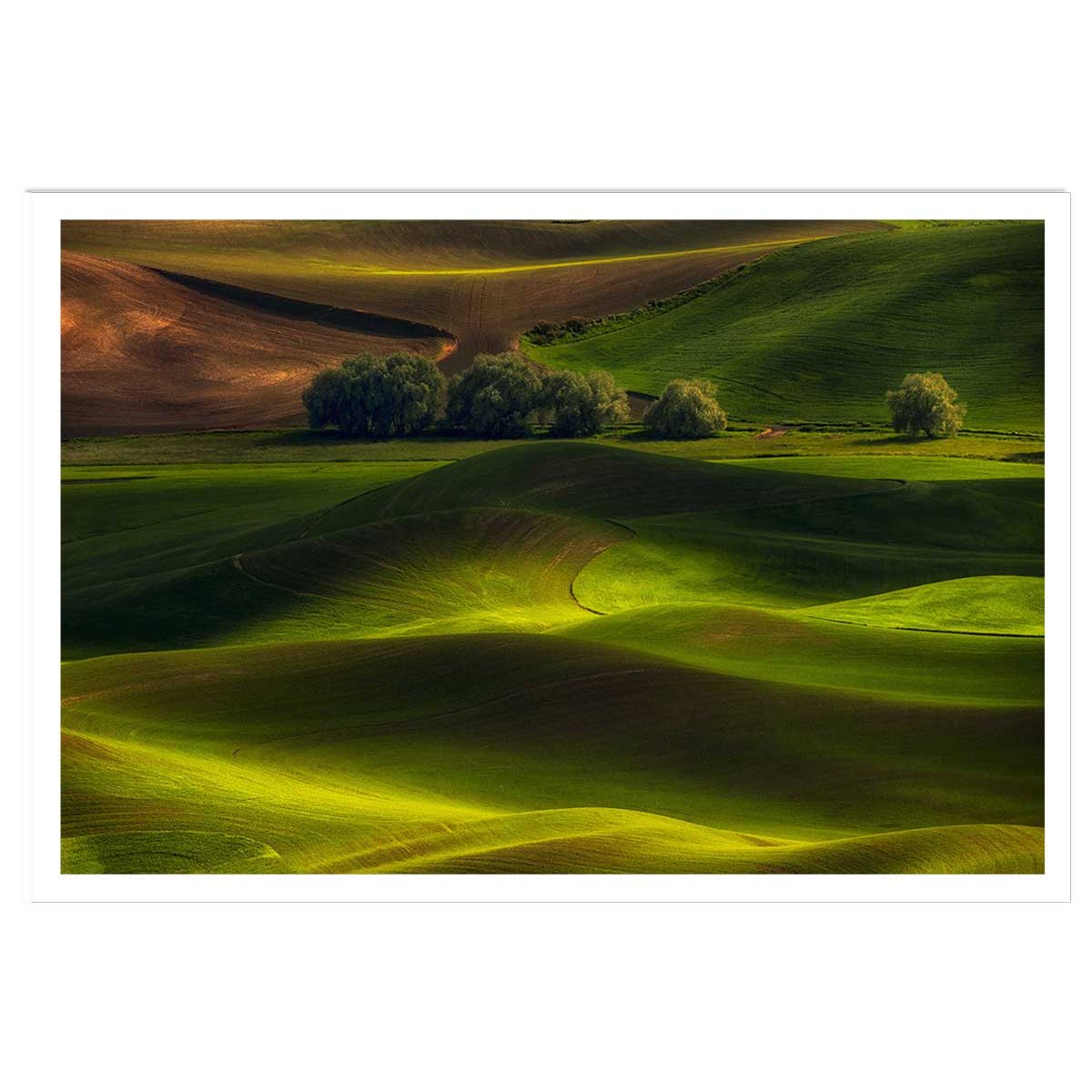 Affiche Colline USA affiche seule, HEXOA