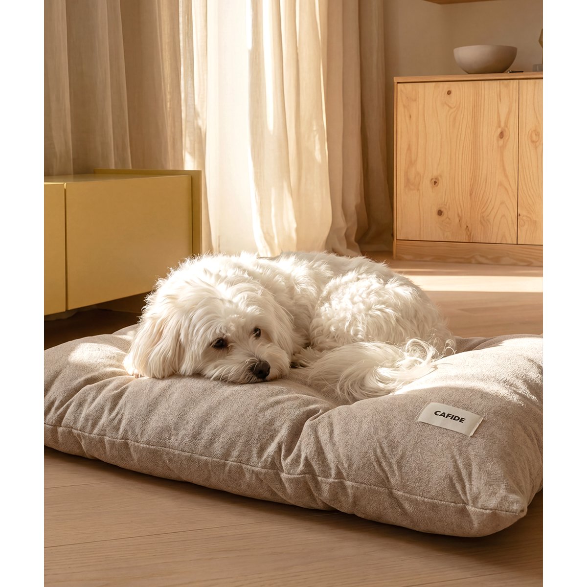 Coussin de lit pour chien classique, BELA beige, CAFIDE