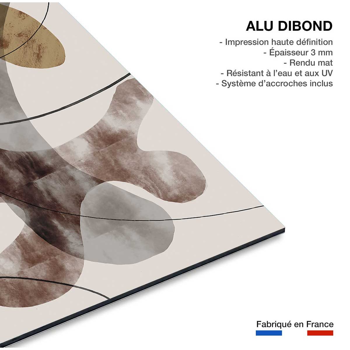 Tableau Organisme abstrait N°1 tableau alu dibond, HEXOA