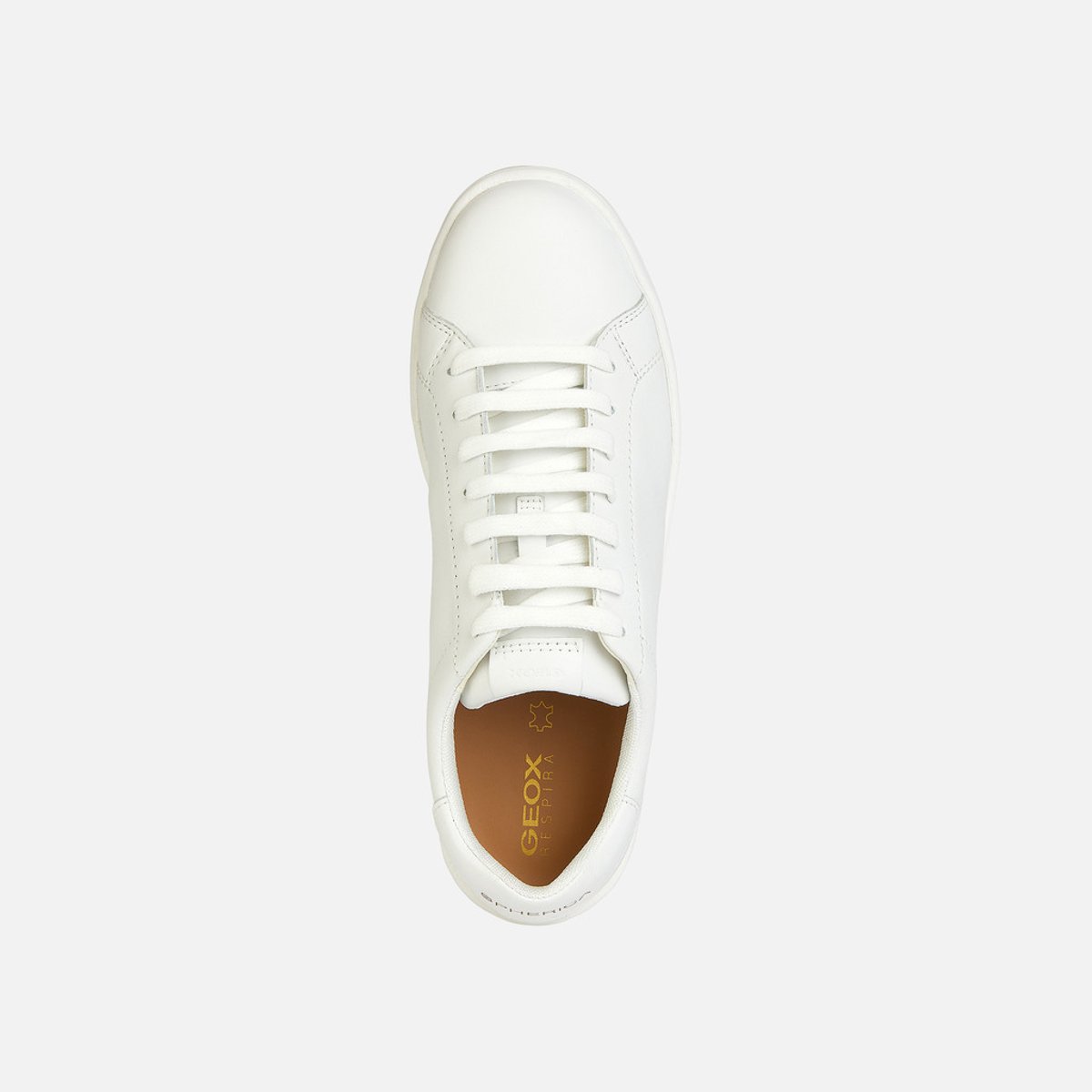 Baskets D SPHERICA ECUB-1 blanc, GEOX