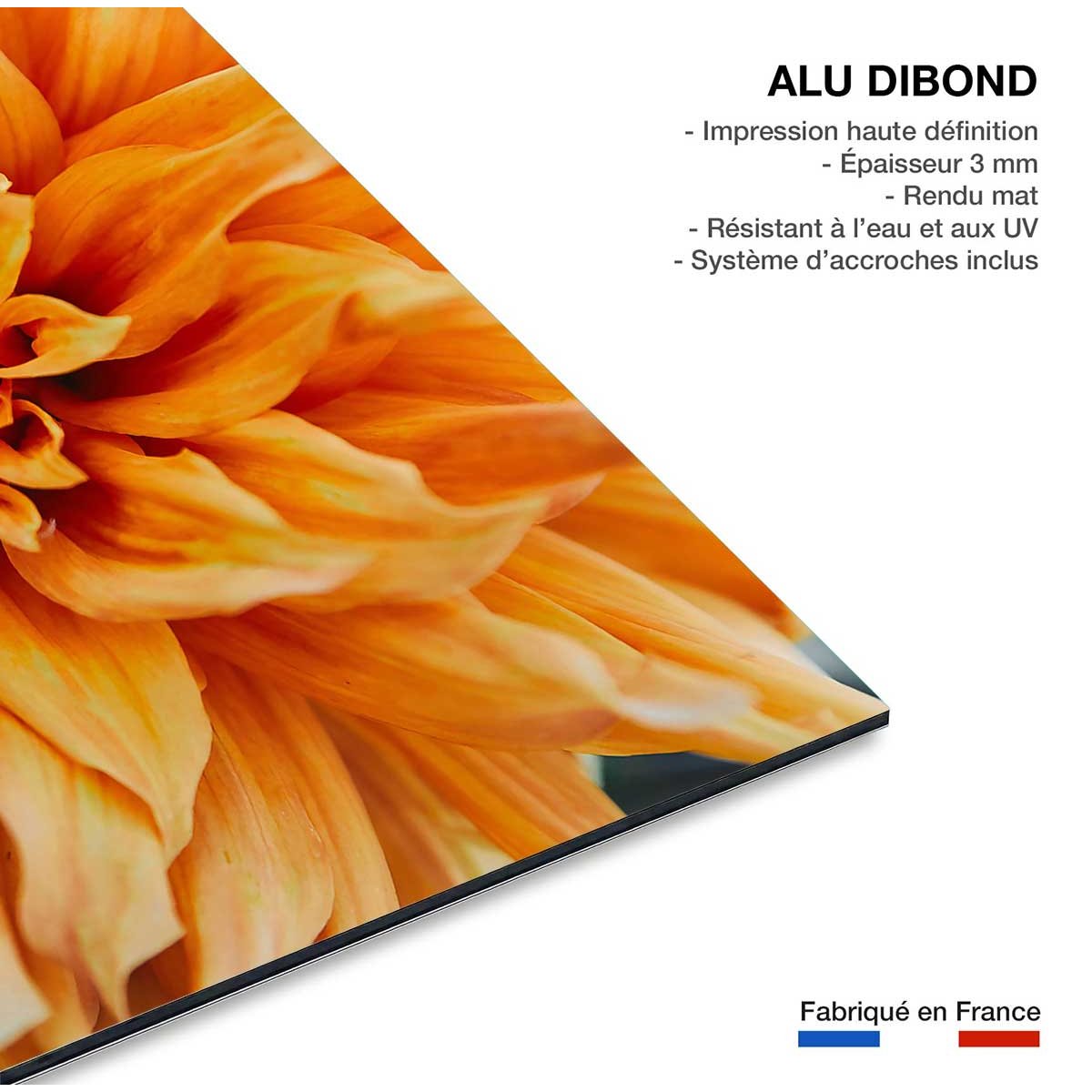 Tableau Tableau fleurs coeur de chrysanthème tableau alu dibond, HEXOA