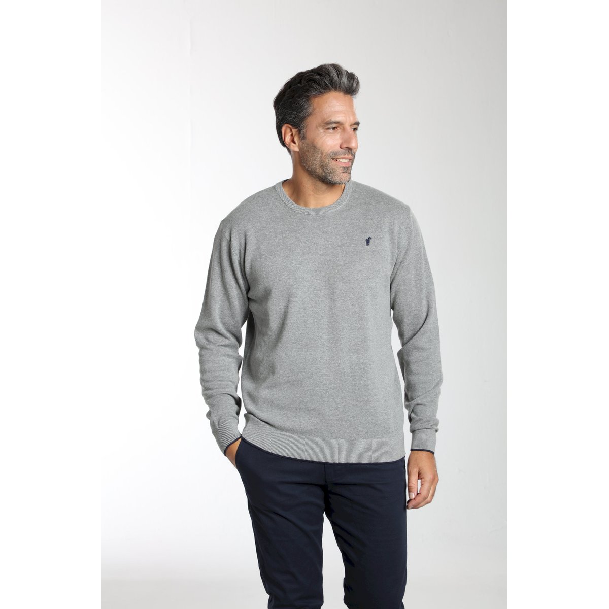 Pull col polo en coton MILANO POLO gris, GENTLEMAN FARMER