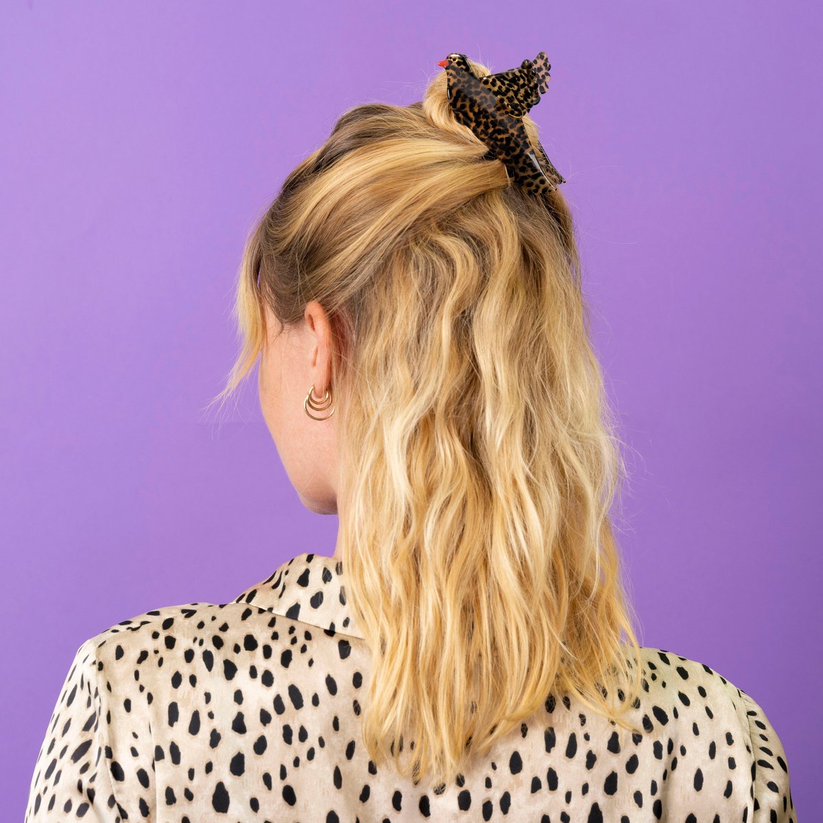 Pince à cheveux Grive marron et noir, COUCOU SUZETTE