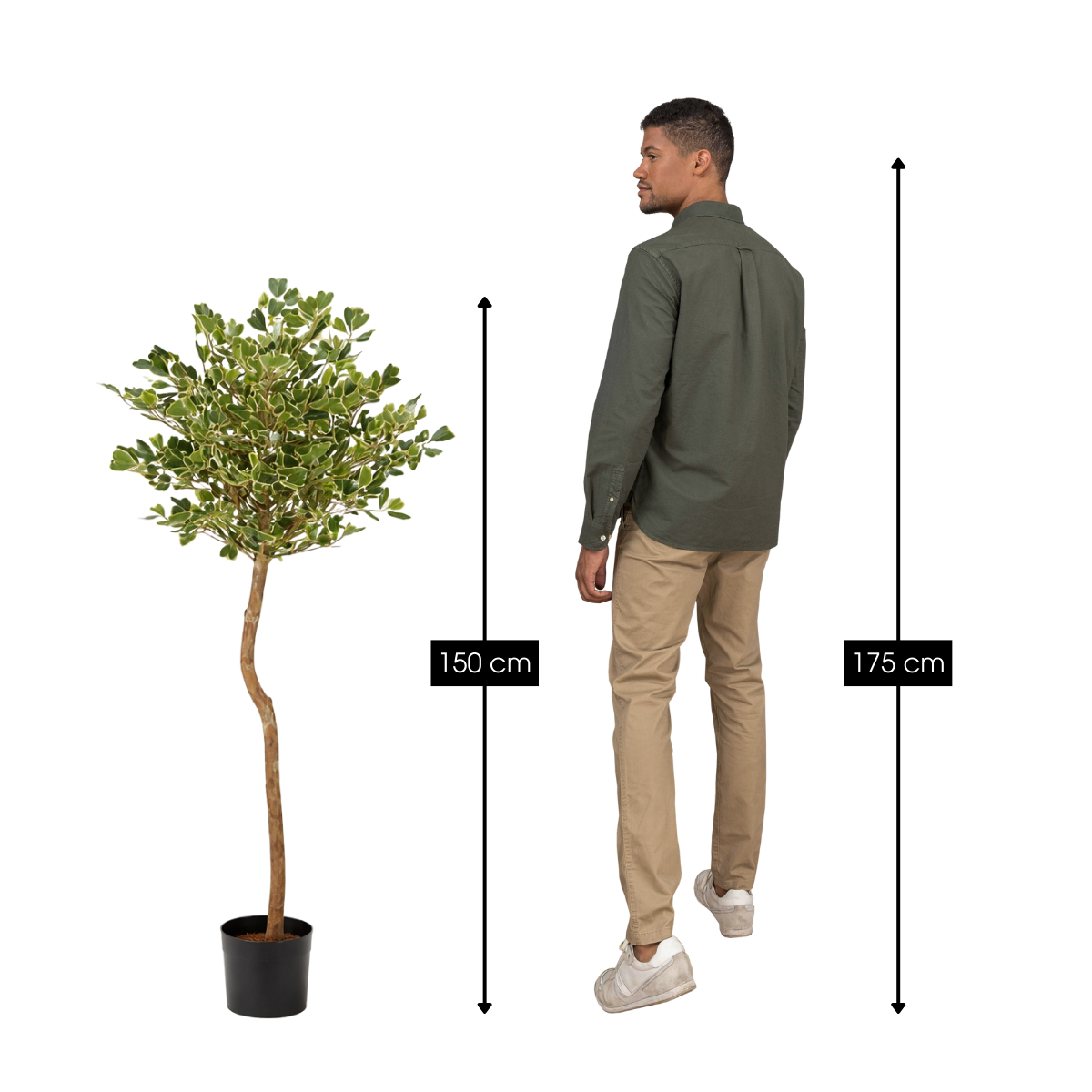 Plante artificielle FICUS vert, MICA DECORATIONS