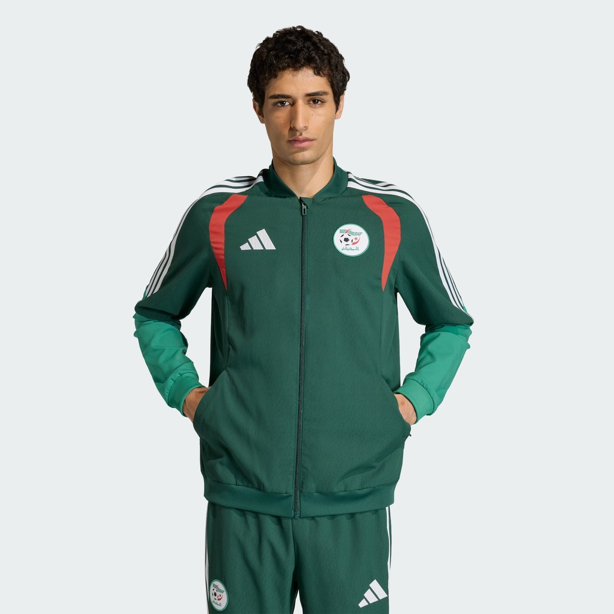 Veste De Présentation Algérie 26 team dark green, adidas Performance
