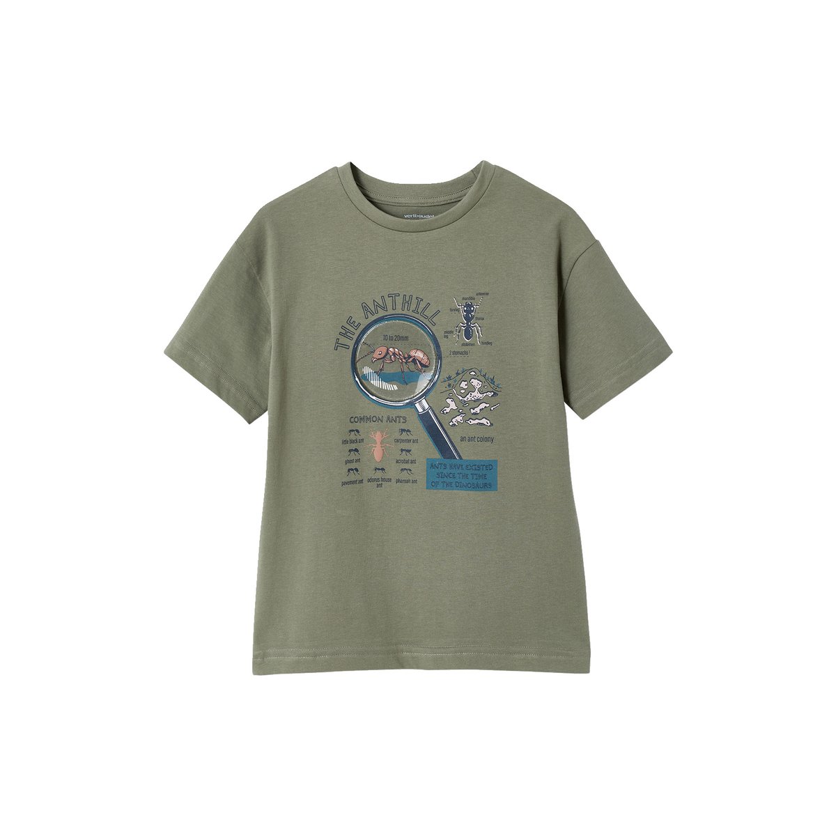T-shirt manches courtes lichen, VERTBAUDET