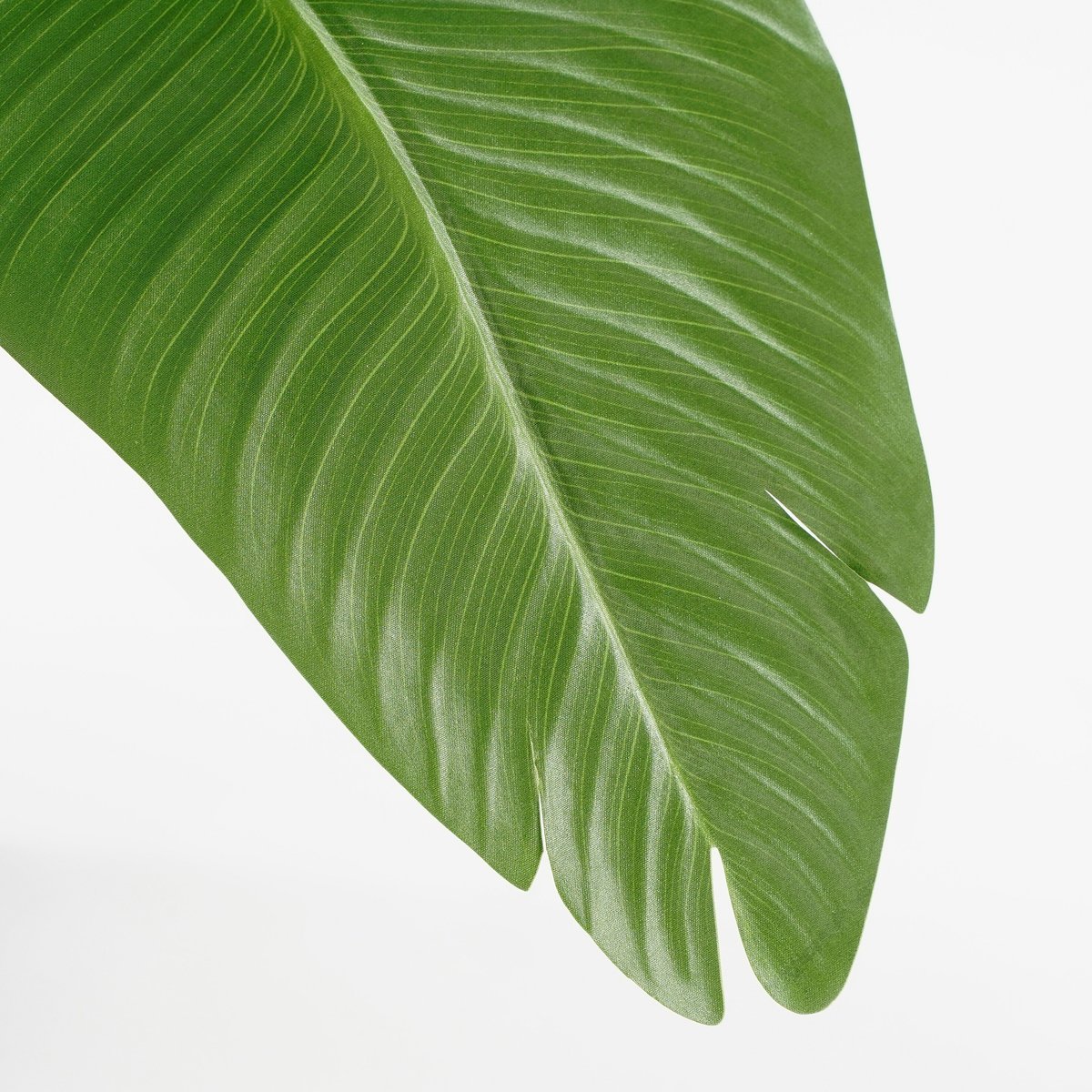 Plante artificielle BANANA TREE vert, MICA DECORATIONS