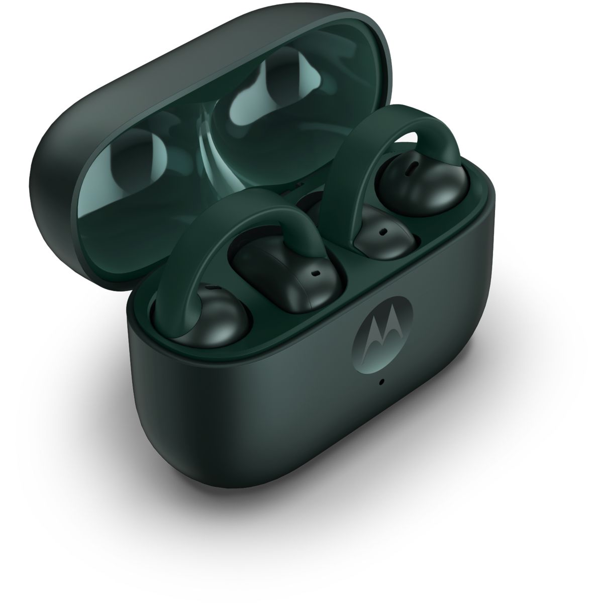 Ecouteurs Buds Loop Vert trekking green (kaki), MOTOROLA