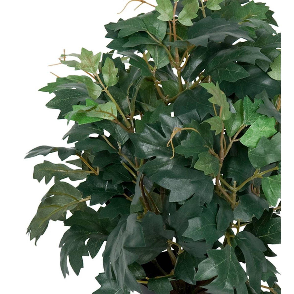 Cissus artificiel en pot, H 35 cm, D 23 c v002239, ARTIFICIELLES
