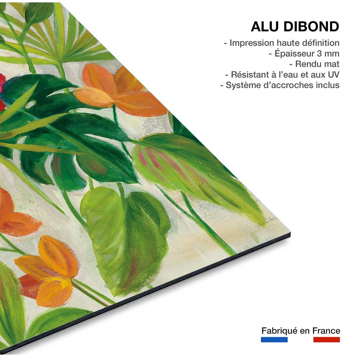 Tableau Jardin tropical tableau alu dibond, HEXOA