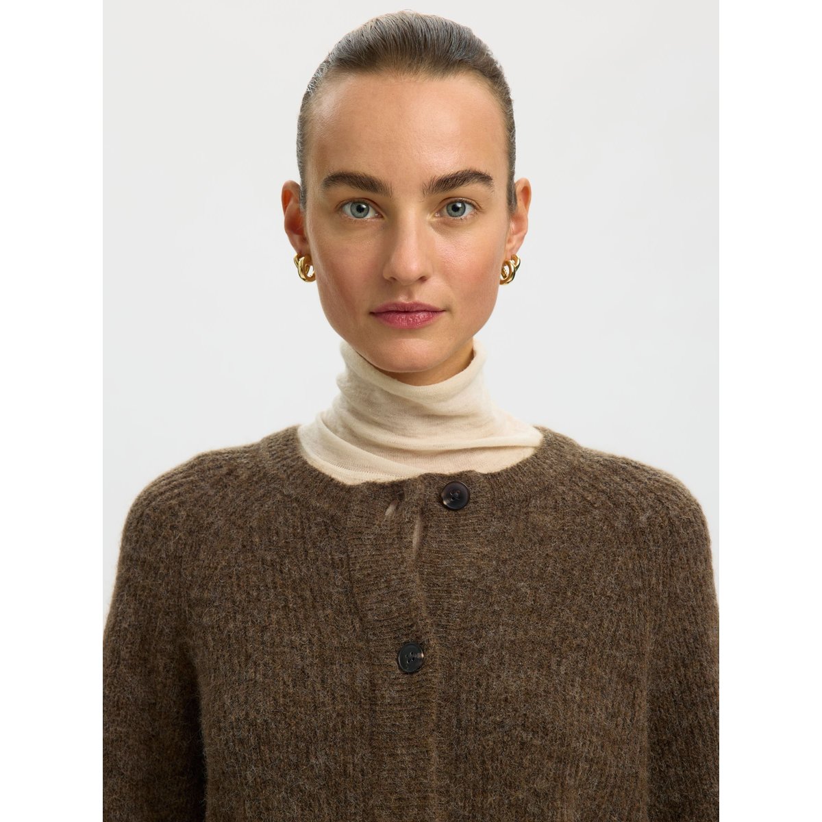 Cardigan dachshund, SELECTED