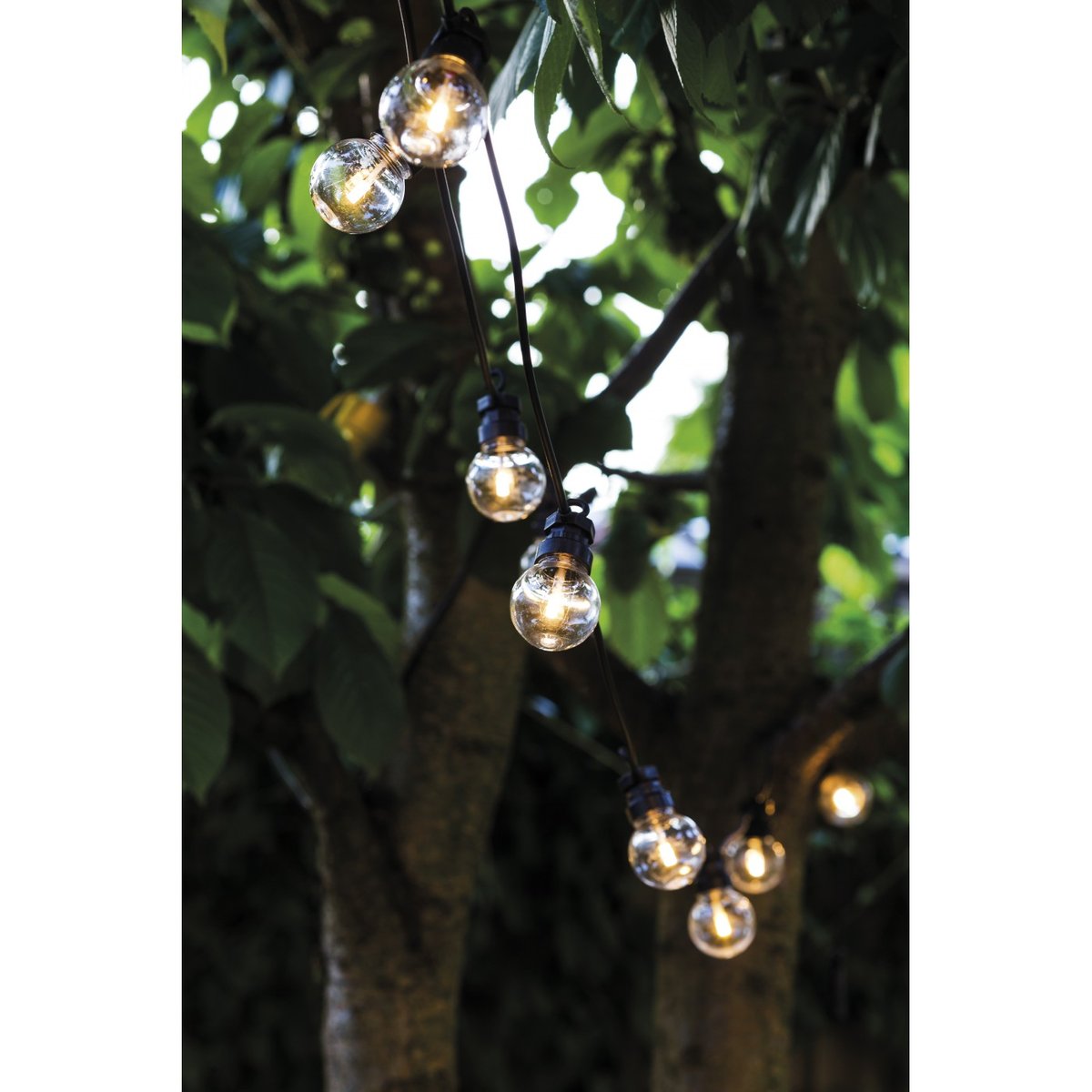 Guirlande d'Exterieur LED Transparente Tobias 400cm noire, ampoules transparentes, SIRIUS