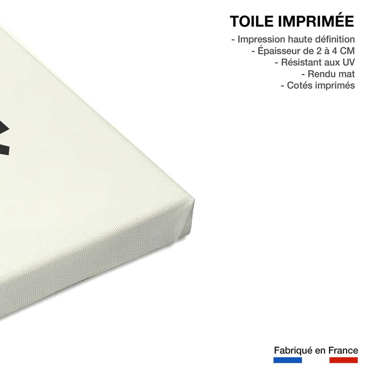Tableau hibou toile imprimée, HEXOA