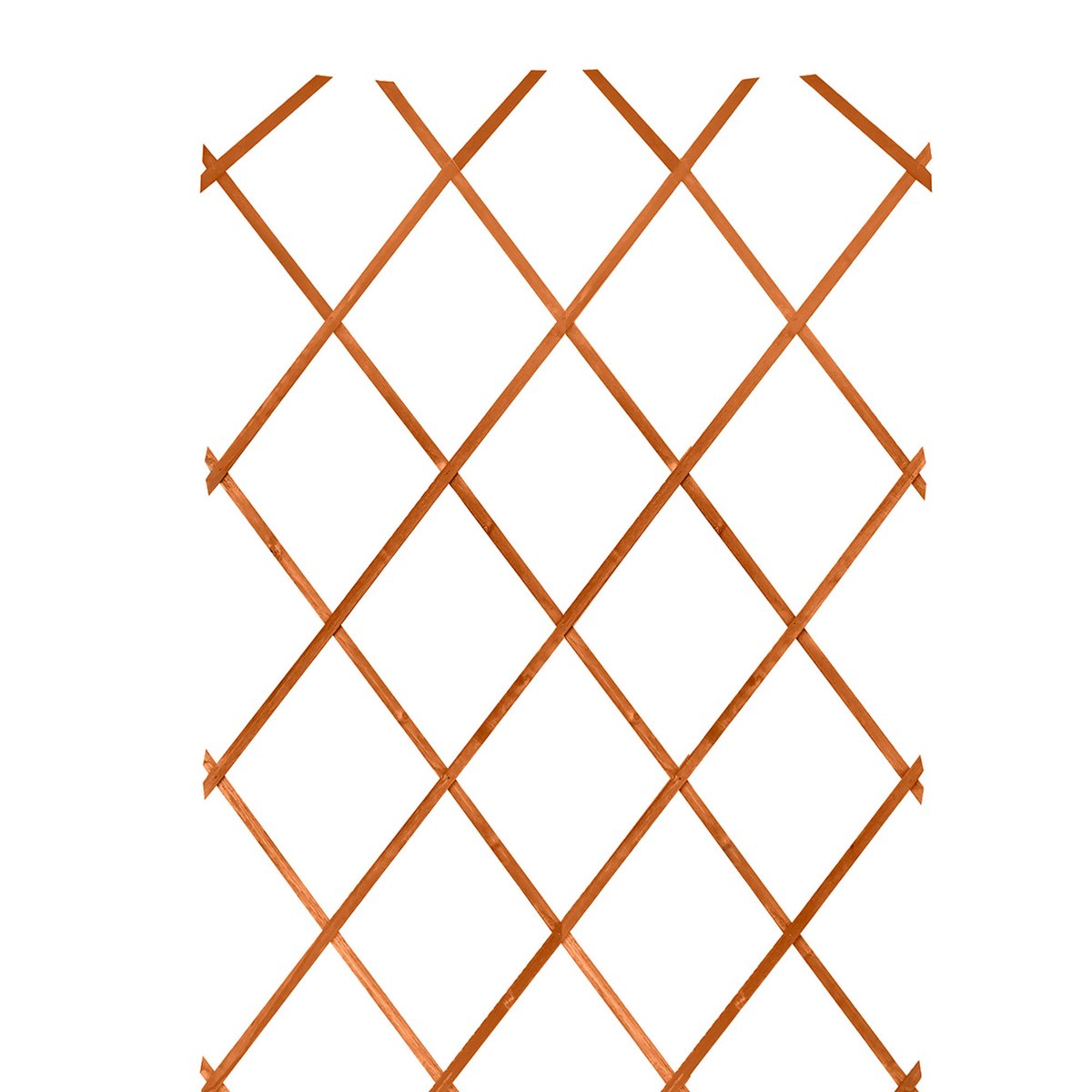 Treillis en bois extensible pour plantes grimpantes 180x60x0.5cm bois, WADIGA