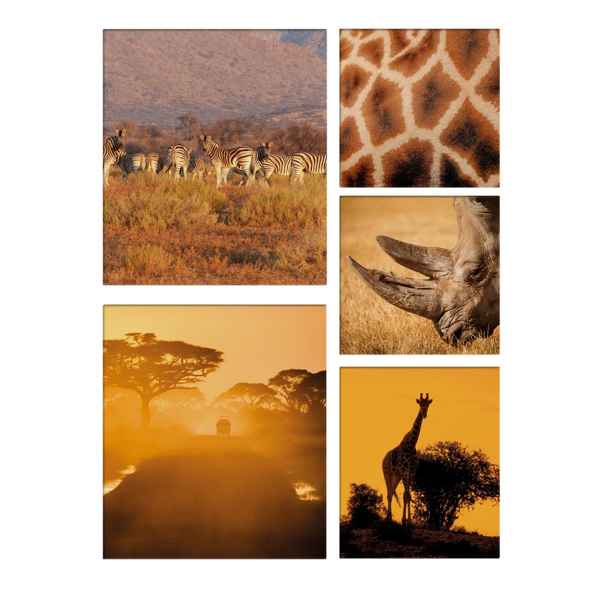 Set de 5 toiles imprimées Safari animaux de la brousse africaine sépia, orange, ART FOR THE HOME