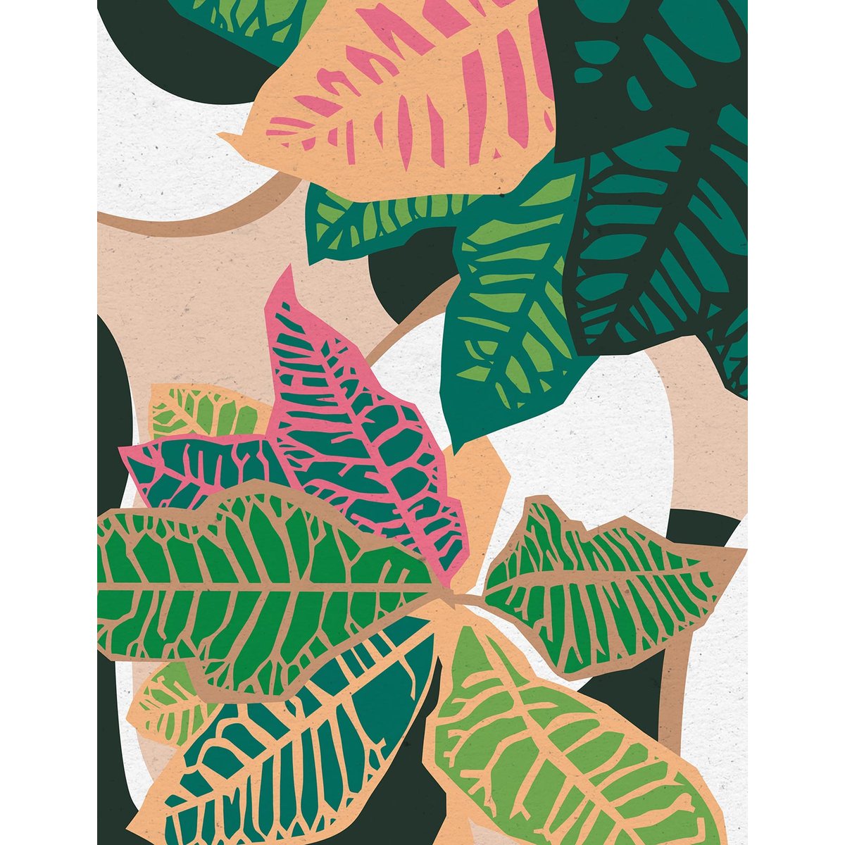 Papier peint feuilles exotiques intissé, HEXOA
