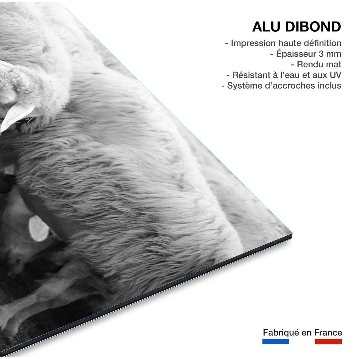 Tableau paysage chien de berger tableau alu dibond, HEXOA
