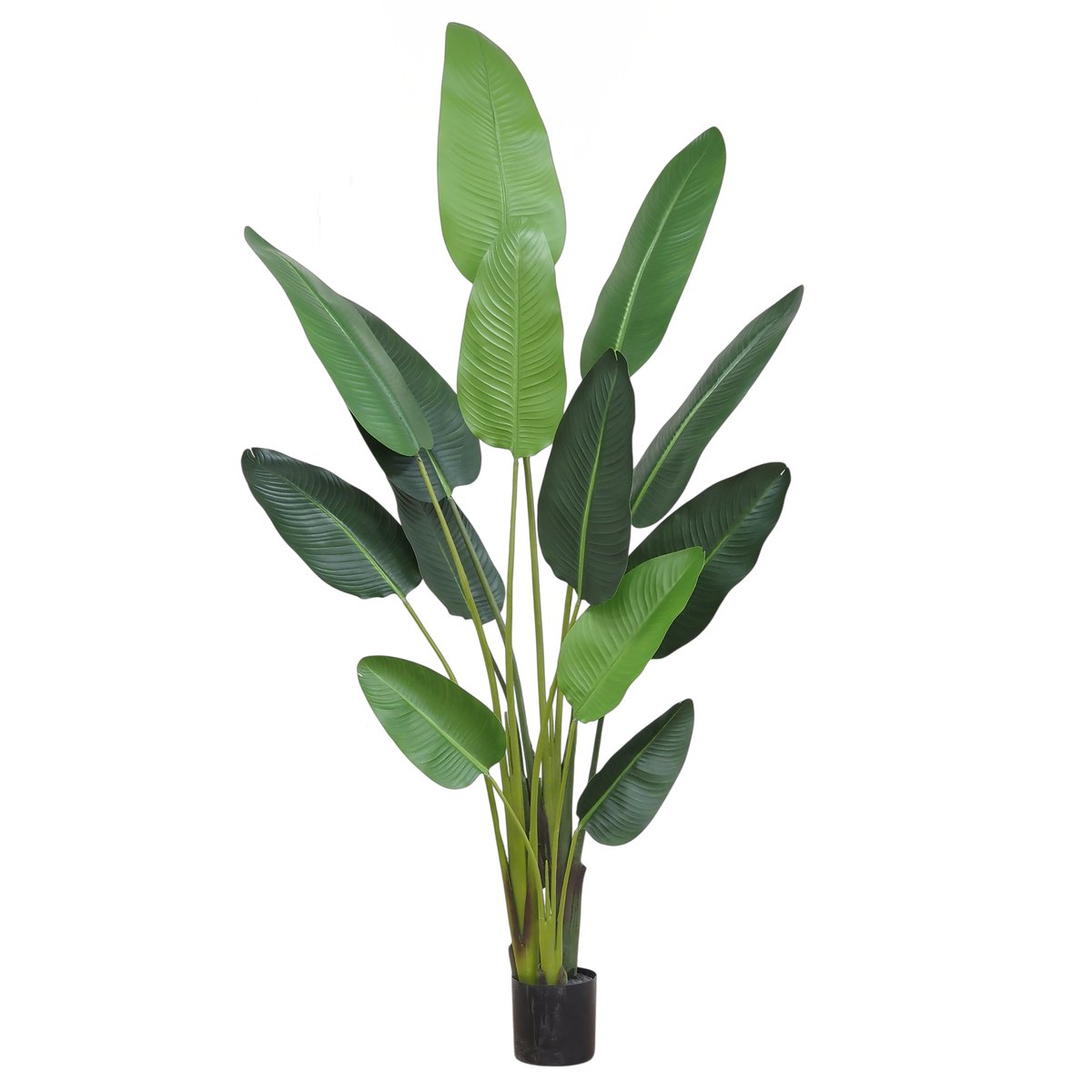 Plante artificielle oiseau du paradis 235cm vert, LIGNE DECO