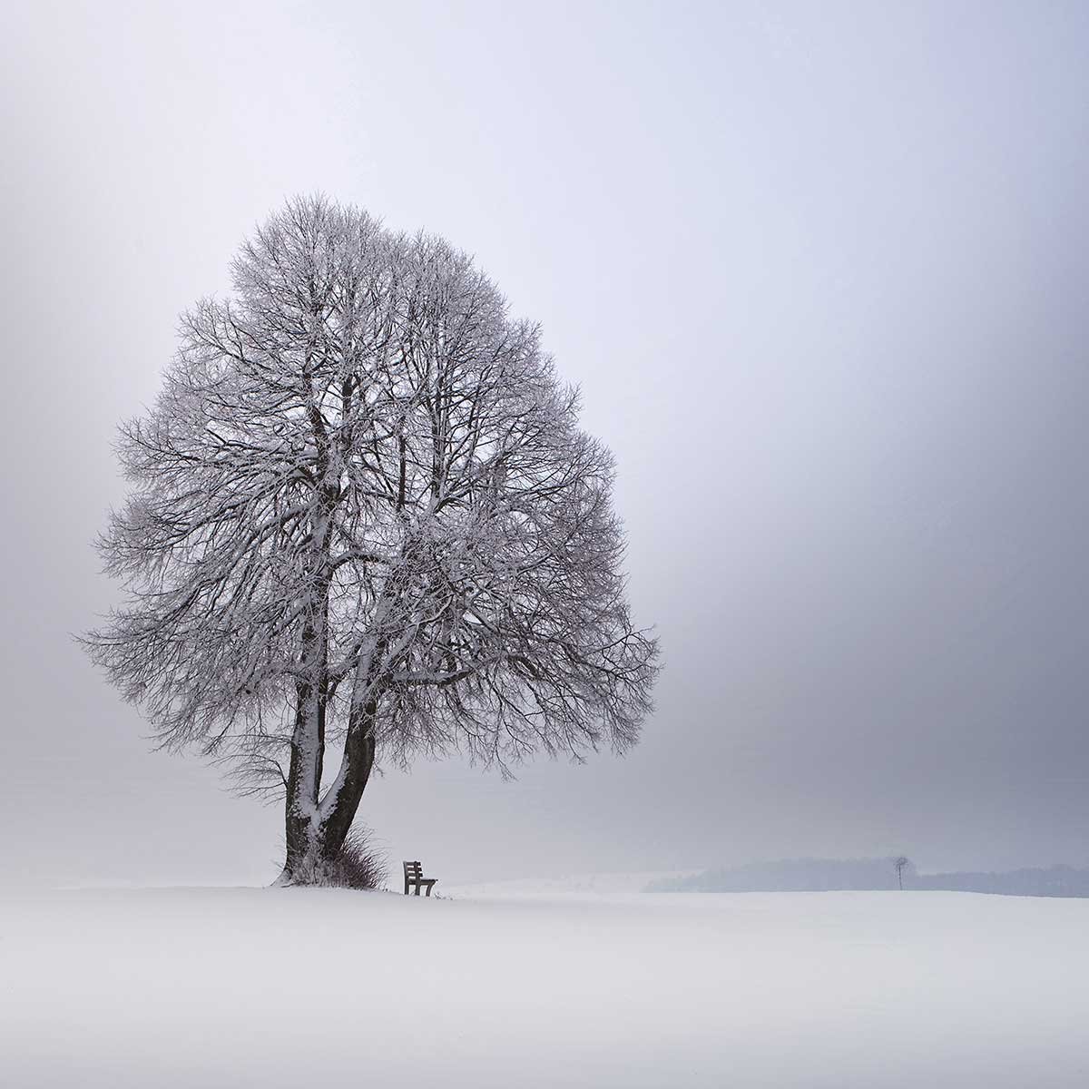 Tableau paysage Lumière d' hiver tableau alu dibond, HEXOA