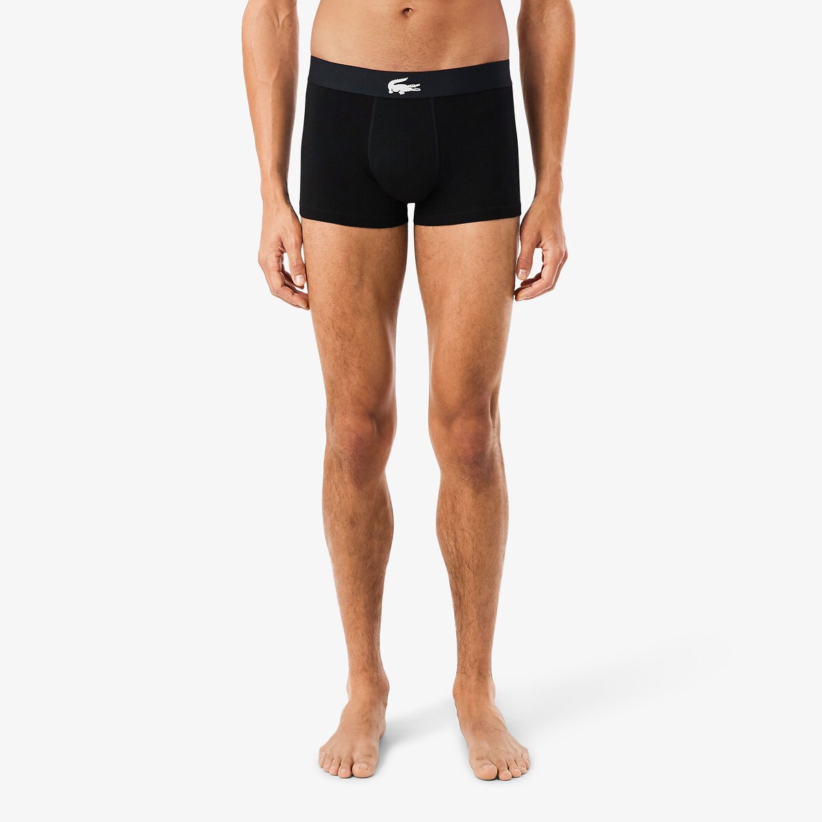 Confezione da 3 boxer in cotone elasticizzato stampato Lacoste noir + vert print + vert, LACOSTE