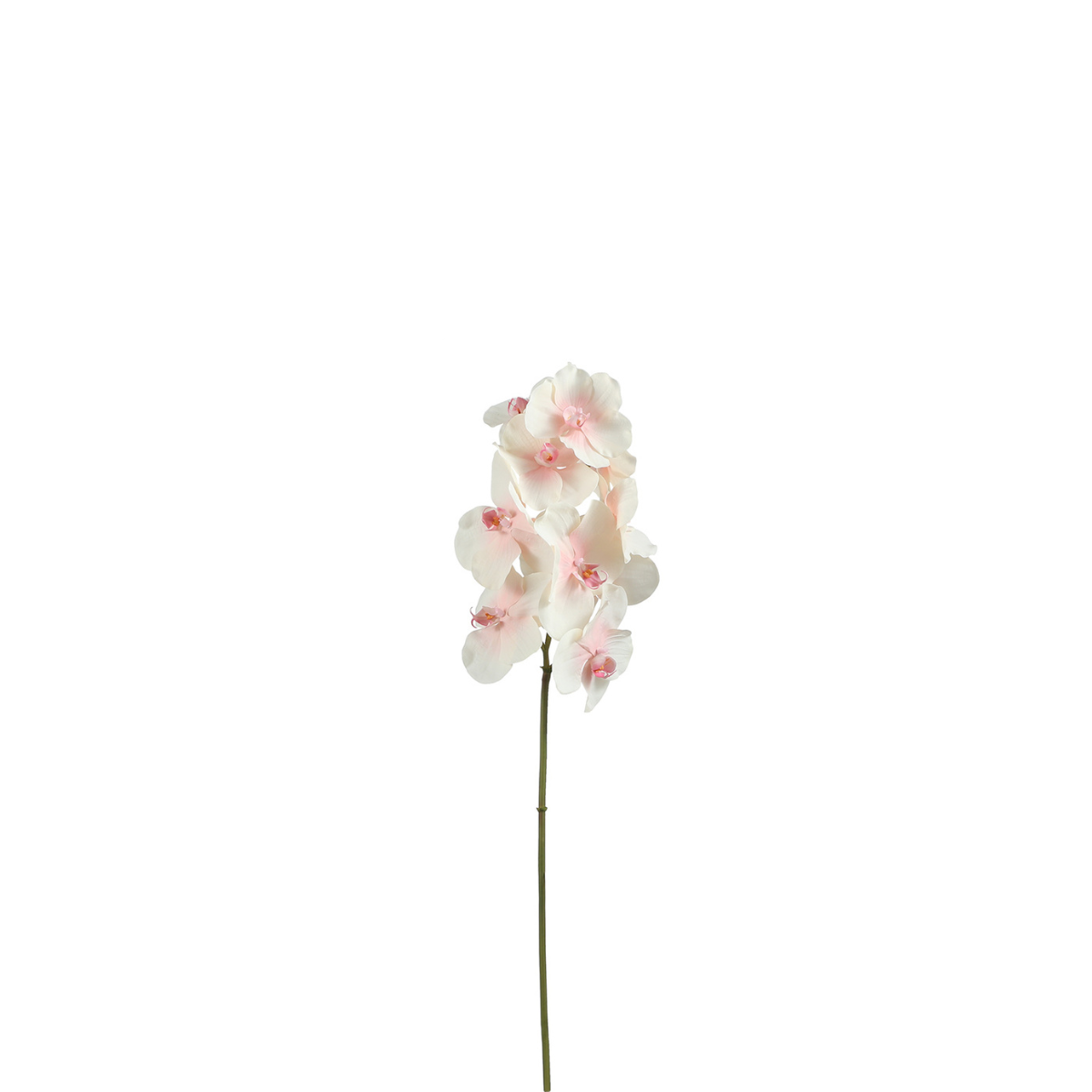 Tige d'orchidée artificielle H50 rose, SIA DECO