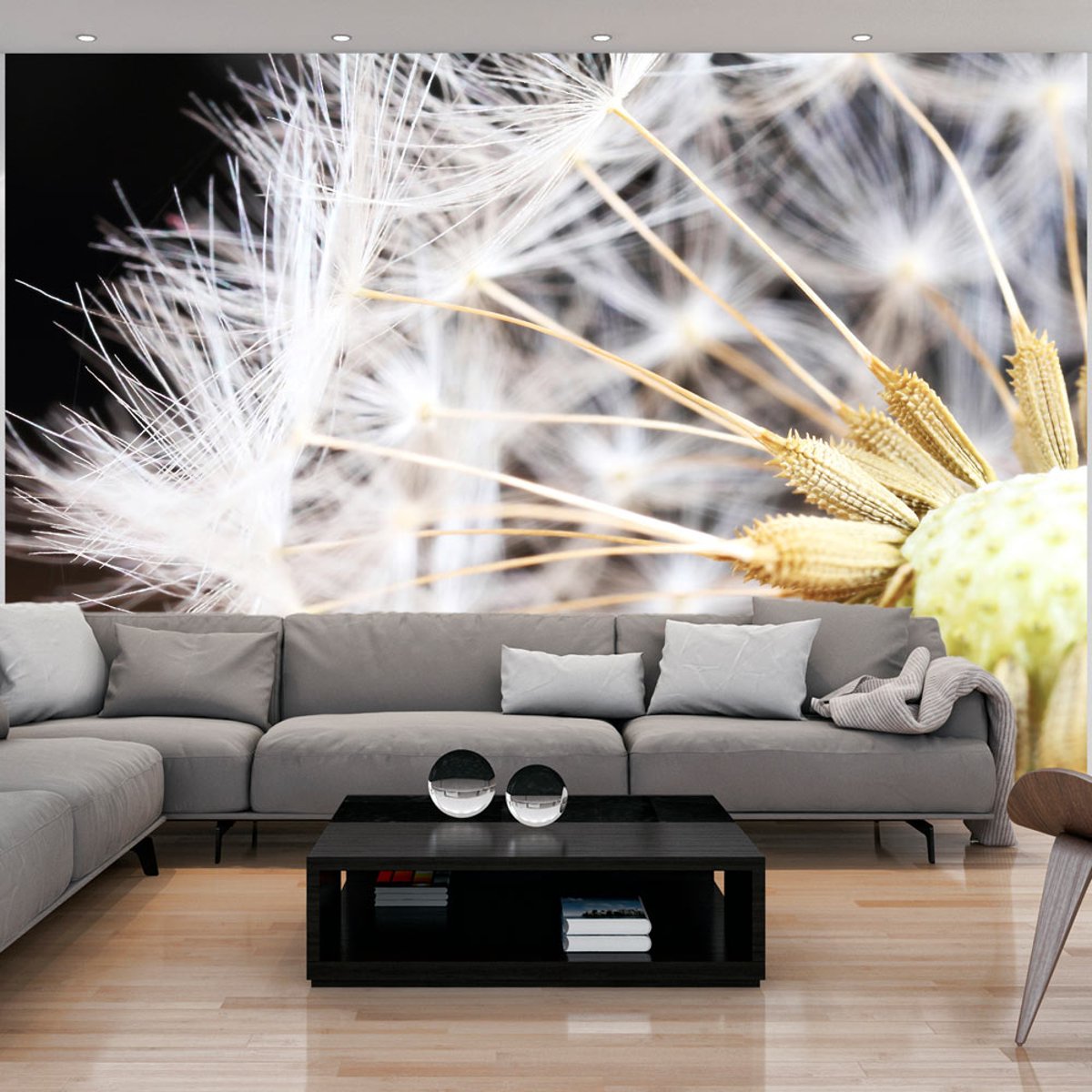 Papier peint intissé panoramique Fleurs Fluffy dandelion blanc, EDEN