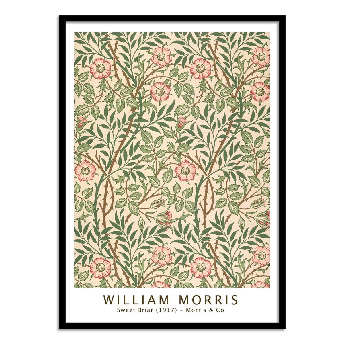 Affiche d'art - Sweet Briar 1917 - William Morris couleur unique, WALL EDITIONS