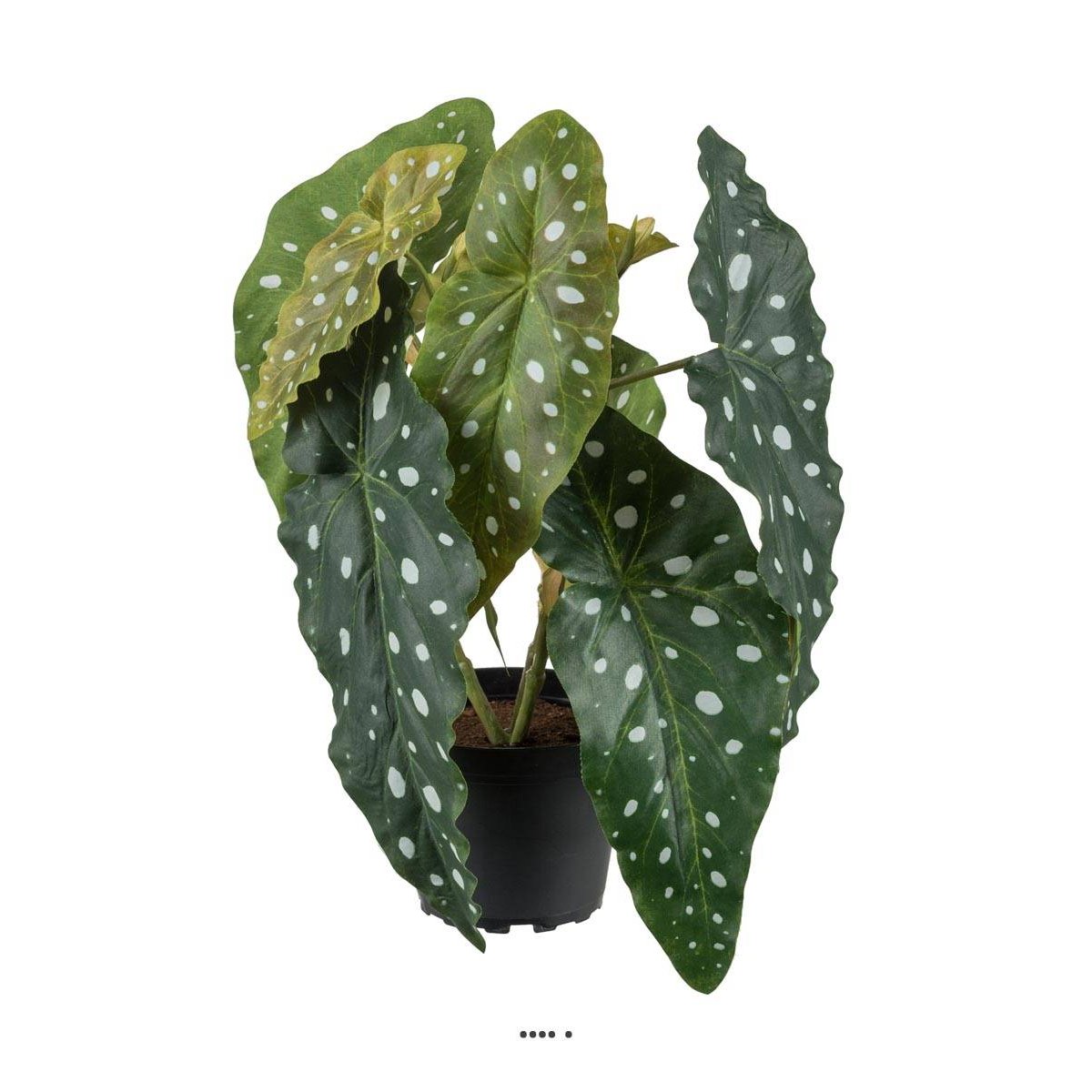 Begonia Maculata artificiel en pot, H 30 c v002239, ARTIFICIELLES