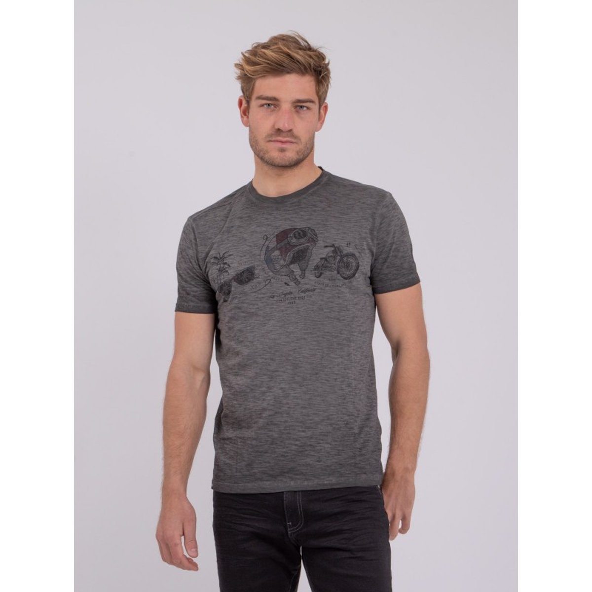 T-shirt Manches Courtes Col Rond Pur Coton Noumarty gris, RITCHIE