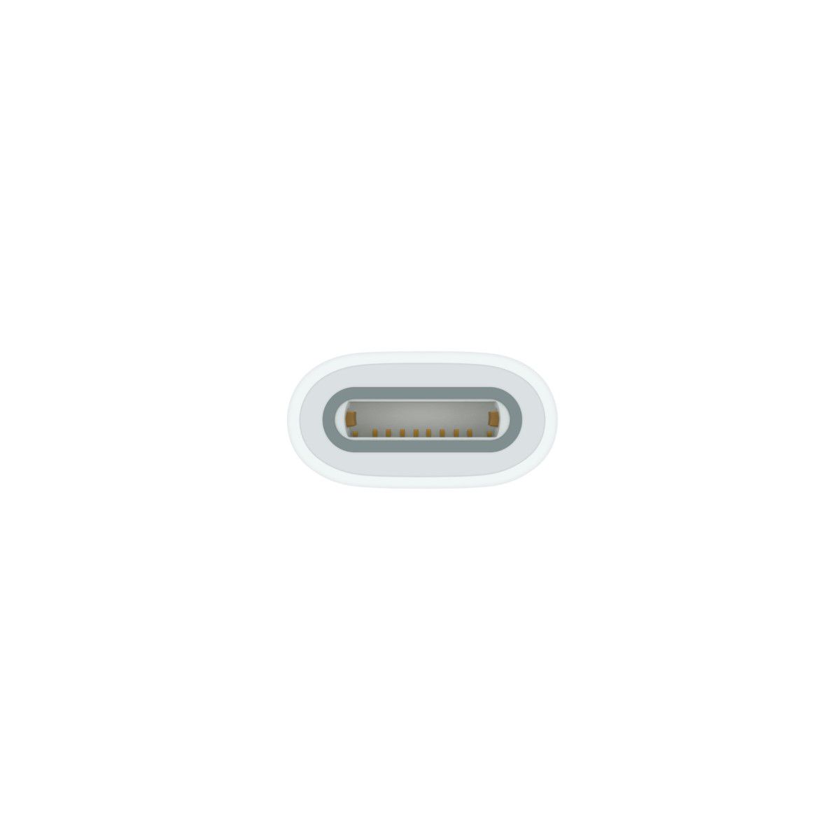 Adaptateur USB-C pour Pencil couleur unique, APPLE