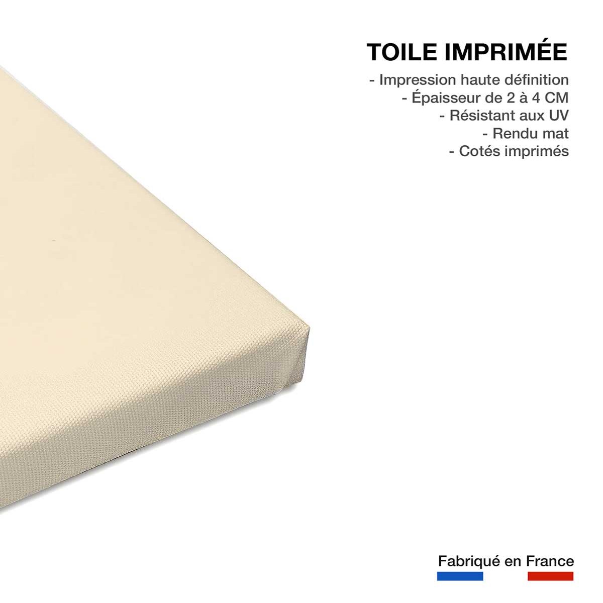 Tableau rainbow escargot toile imprimée, HEXOA