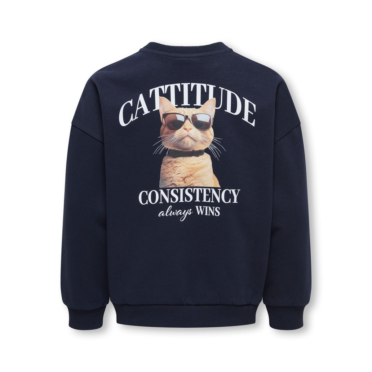 Sweat-Shirt night sky 1, KIDS ONLY